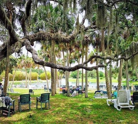 A park scene filled with lawn chairs under the shade of trees, inviting relaxation and outdoor enjoyment.