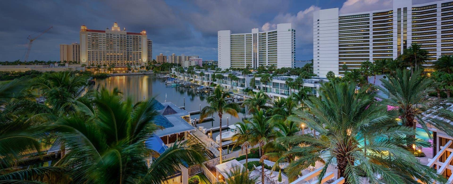 Dusk view from palm tree tops in Sarasota, Florida, showcasing a starry sky and city lights below.